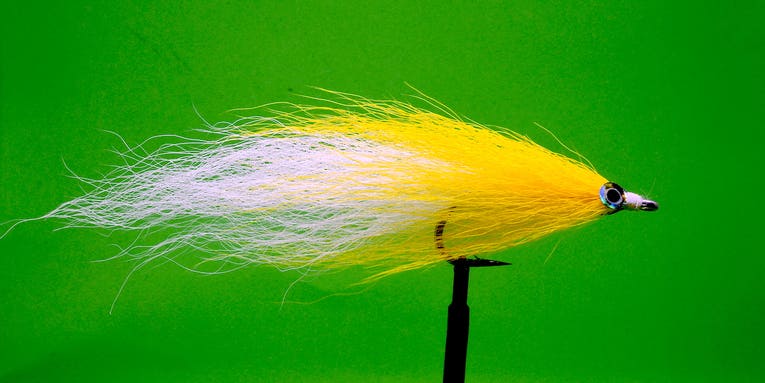 F&S Fly of the Week: The Bucktail Deceiver