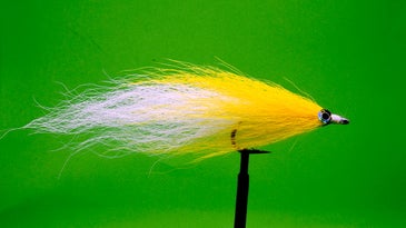 The bucktail deceiver fly fishing fly.