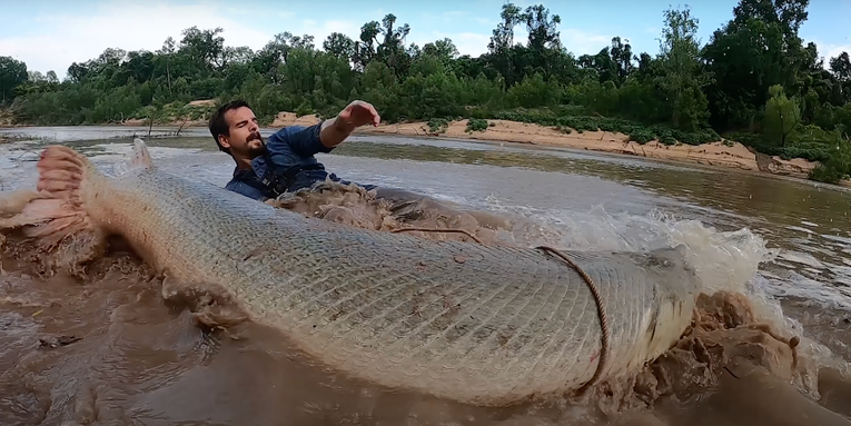 Watch: Texas Fisherman Catches 300-Pound, 8-Foot “Absolute Dinosaur” Alligator Gar