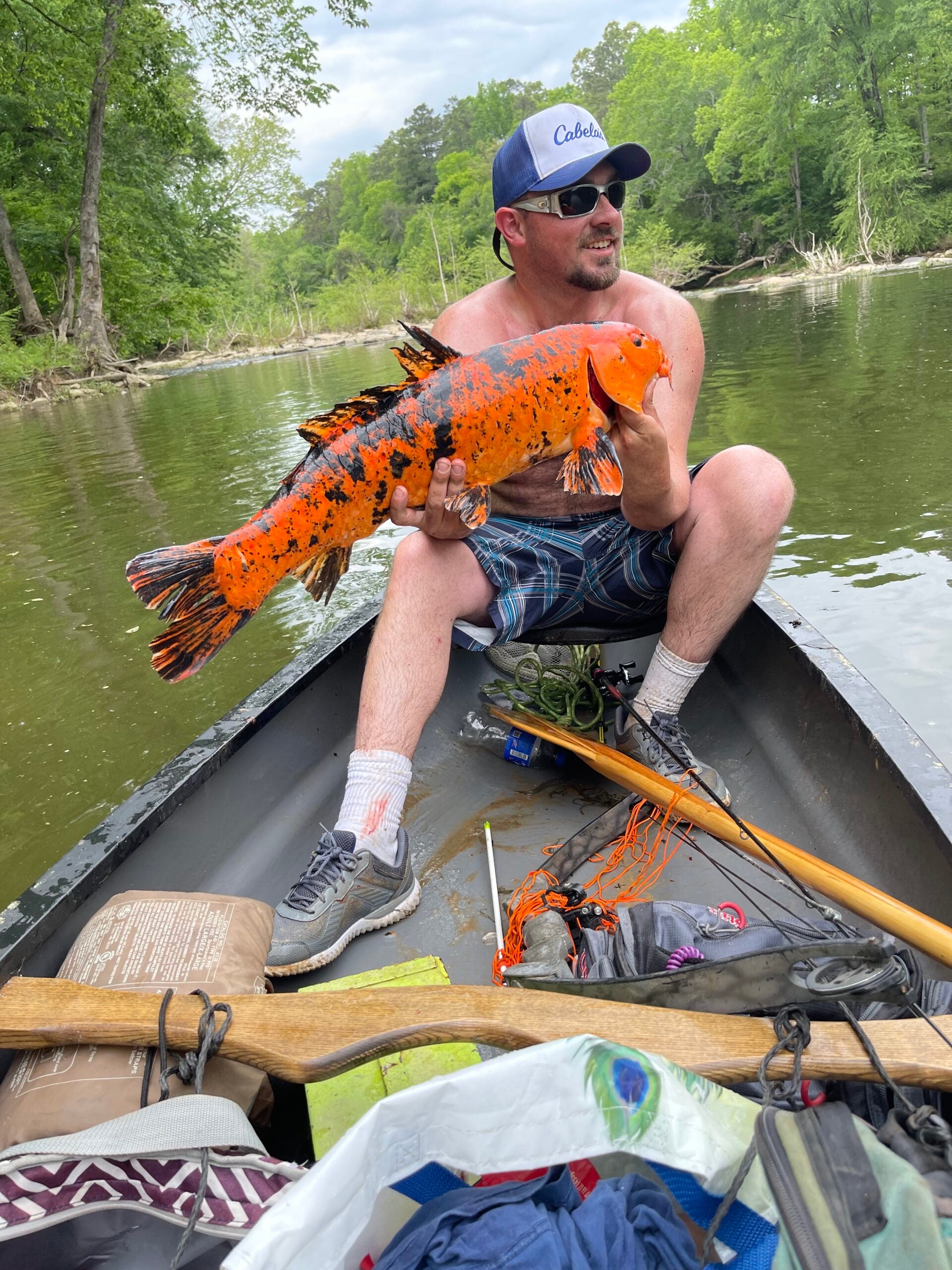 the man sits in small canoes holding large koi