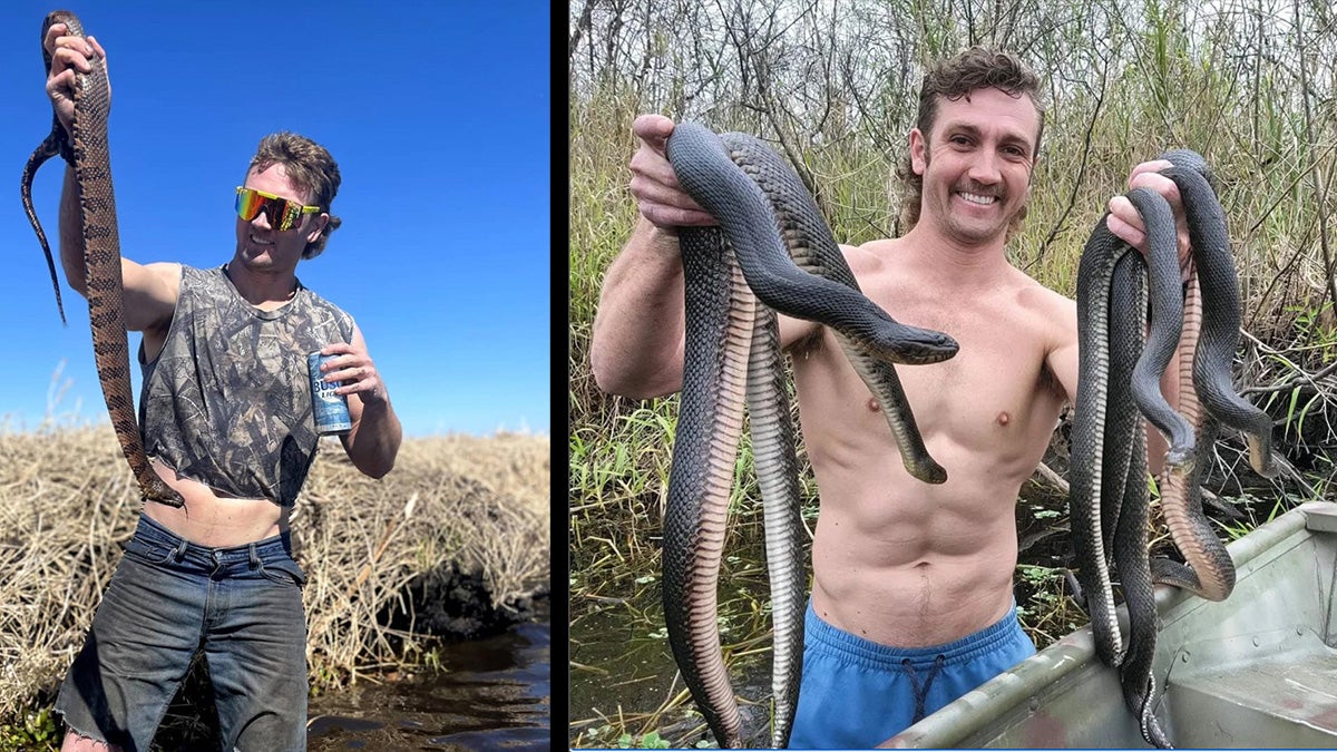 man with mullet poses with large snakes
