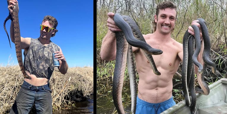 Meet Alex Robertson, Florida’s Shirtless, Mulleted, Snake Hunter Extraordinaire