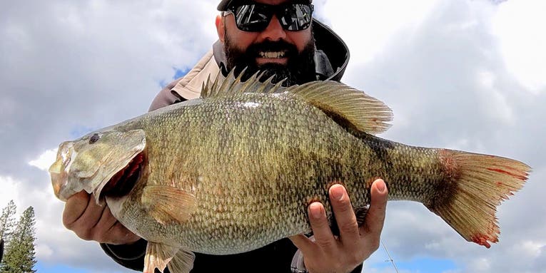Idaho Angler Catches 23.5-inch State Record Smallmouth Bass