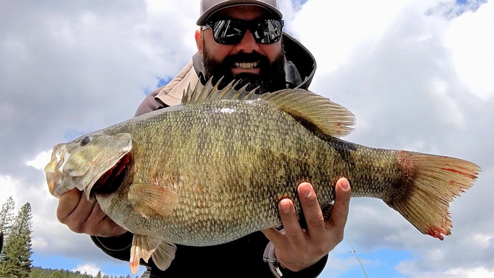 man poses with large smallmouth bass