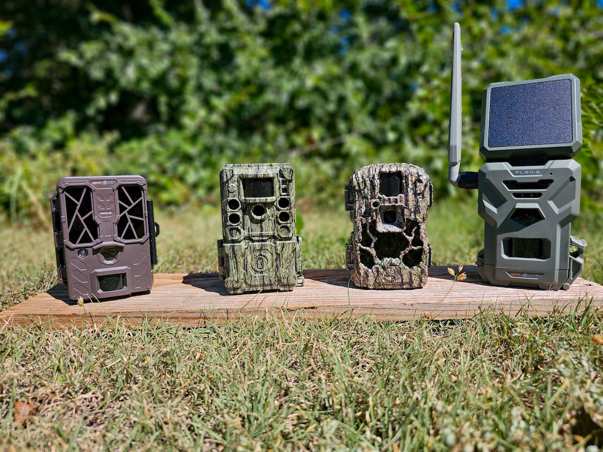 Budget trail cameras from SpyPoint and Bushnell sitting on grass