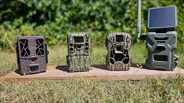 The 6 Best Budget Trail Cameras (2024 Review)