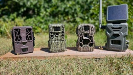 The 6 Best Budget Trail Cameras of 2024, Tested