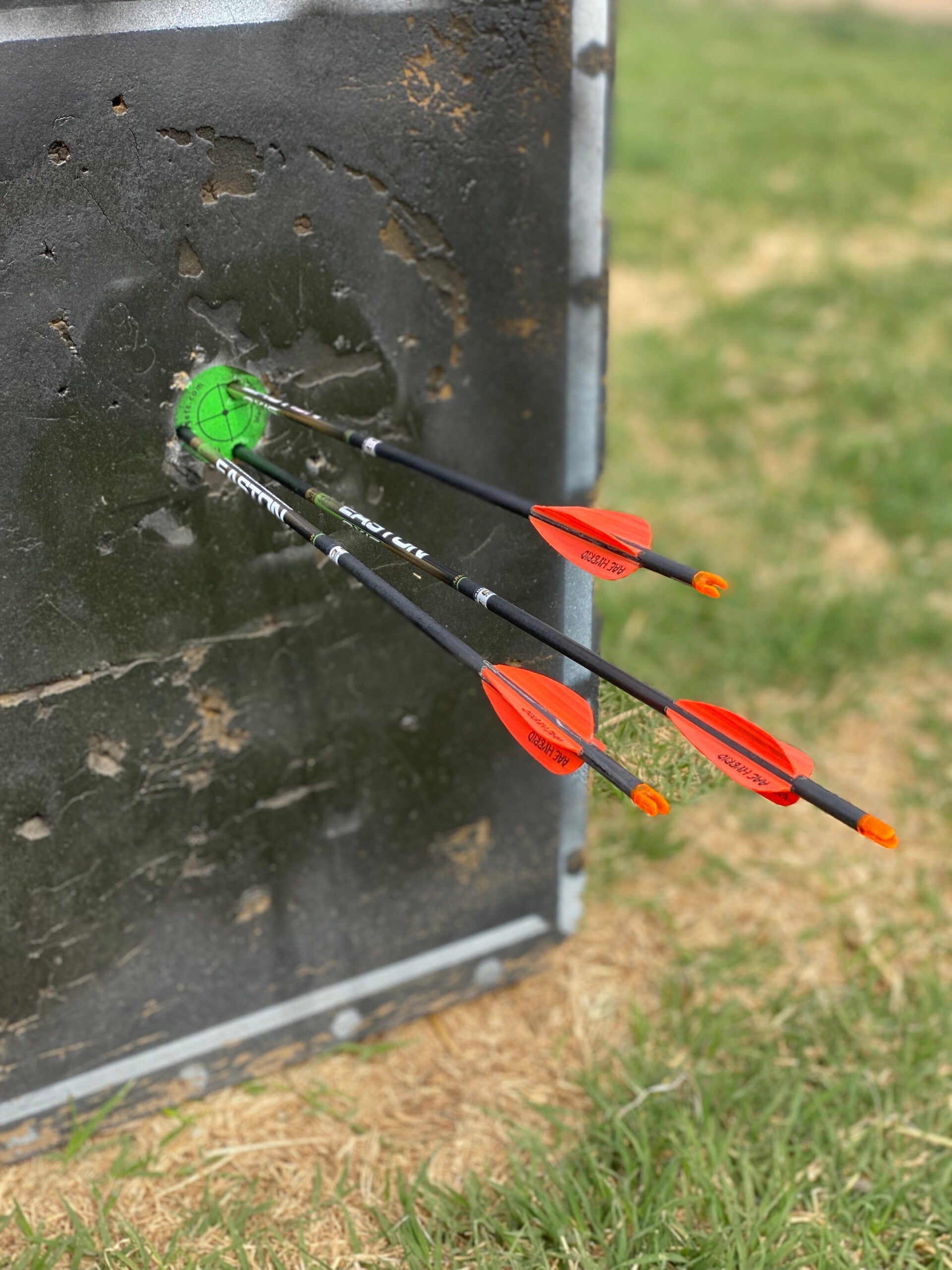 photo of archery target with arrows
