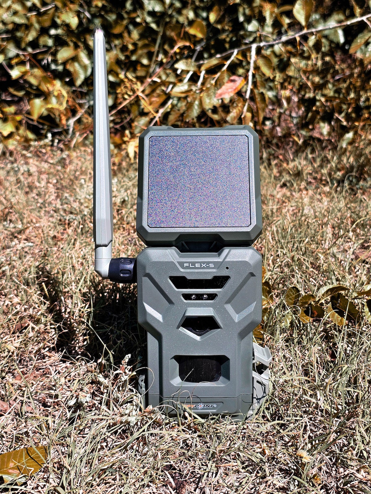 SpyPoint Flex-S Trail Camera sitting on grass