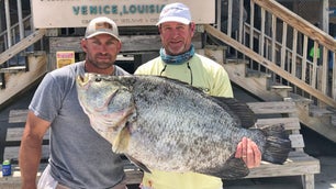 Fisherman with 31.6 pound tripletail in louisiana.
