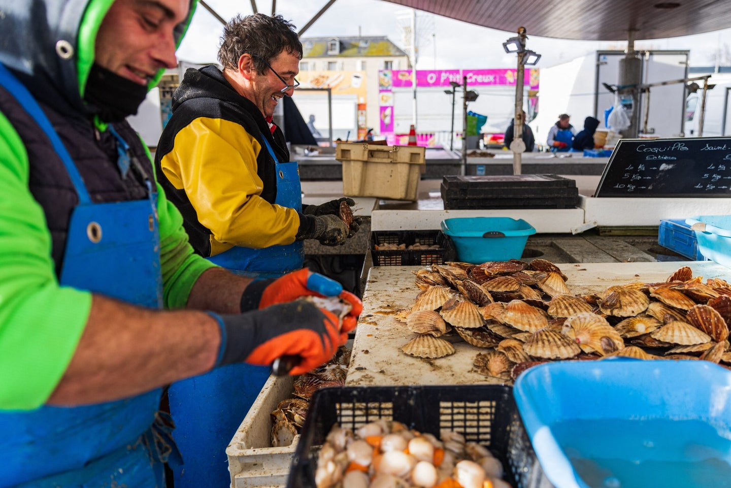 Fishermen shell scallops at fish market