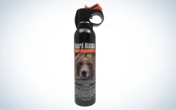 Mace Guard Alaska Bear Spray is the best for backpacking.
