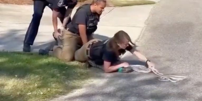 Video: Animal Control Officers Tackle Gator in SC Suburb