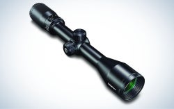 Bushnell Trophy 3-9x40 is the best budget scope for 3030.