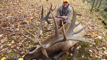 B&C Certifies Pennsylvania State Record Elk as No. 6 Nontypical Bull of All Time