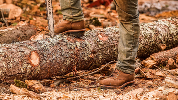 The 5 Best Logger Boots of 2024