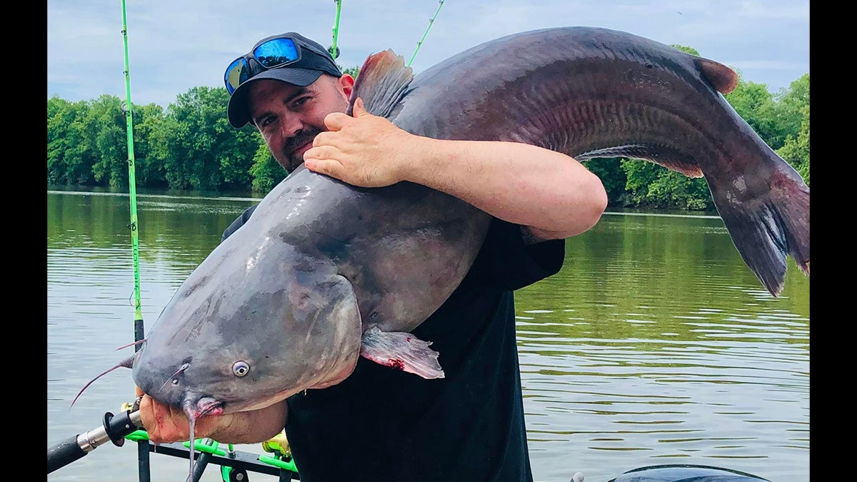 man holds large catfish