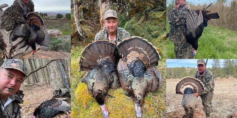 Q&A: Chip Davis on Taking a Gobbler in All 49 U.S. States That Have Wild Turkeys