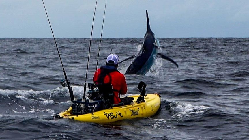 Marlin jumps and shakes his head in front of the kayak fisherman