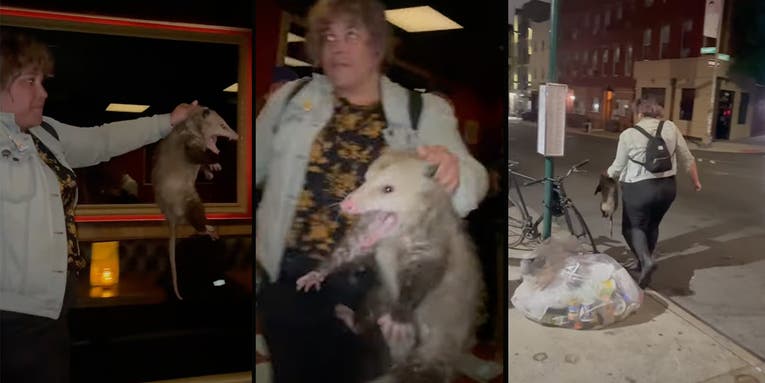Video: Alaska Woman Escorts Opossum Out of a Brooklyn Bar