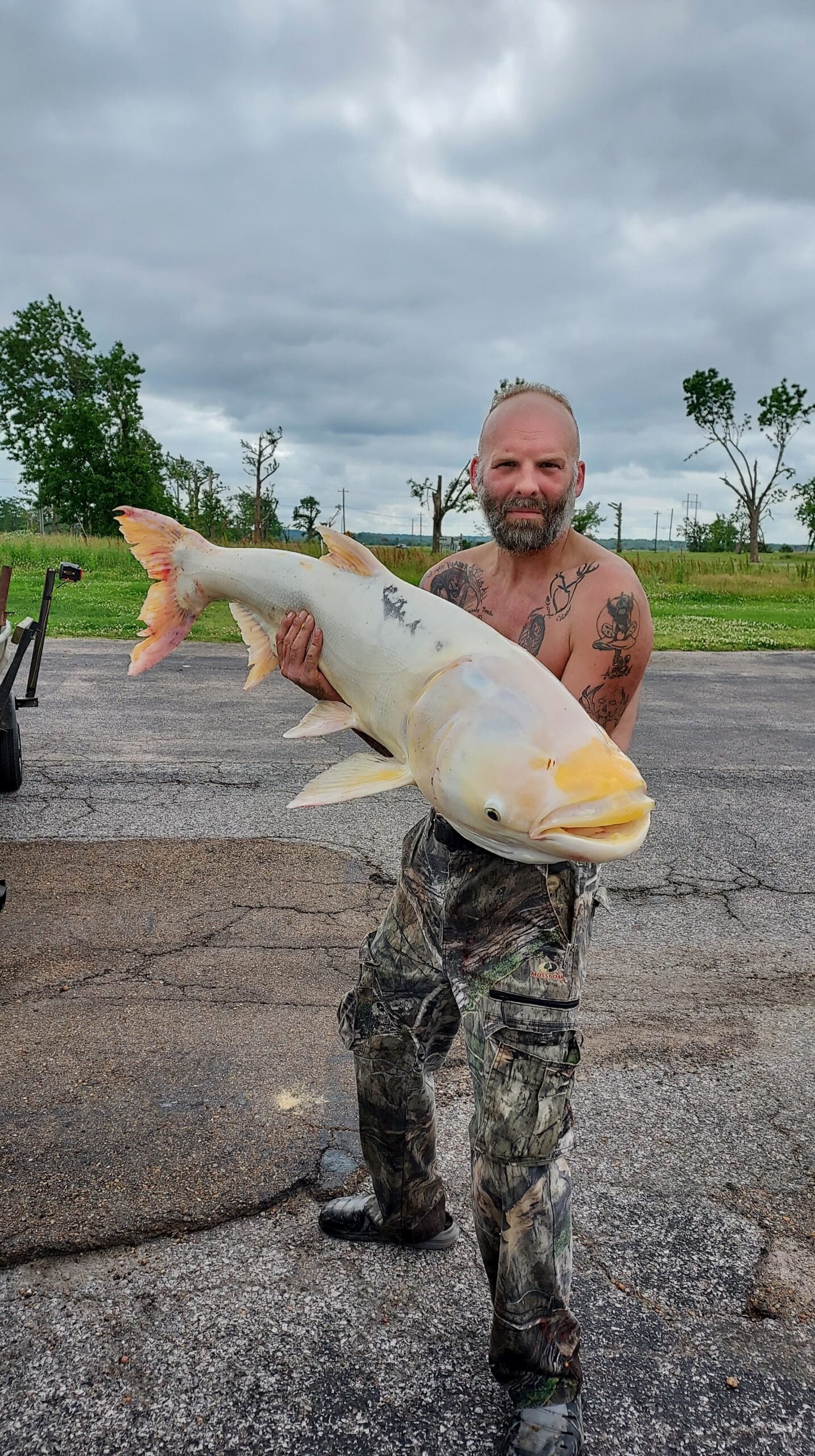 man holds white carp for picture