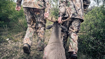 Straight Talk From the Deer Guides: A Kansas Pro Dishes on Blood-Trailing, Buck-Shaming, and Bad Excuses