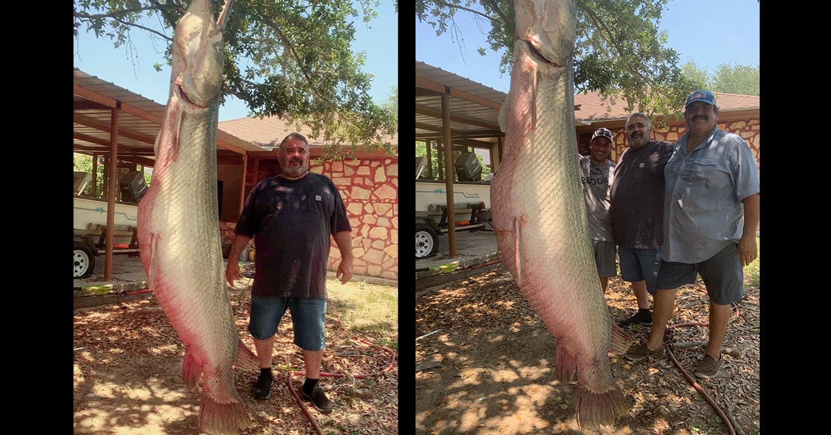 men post with large gar hanging vertically in front of them