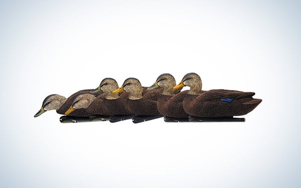 Avian X Black Duck decoys on blue and white background