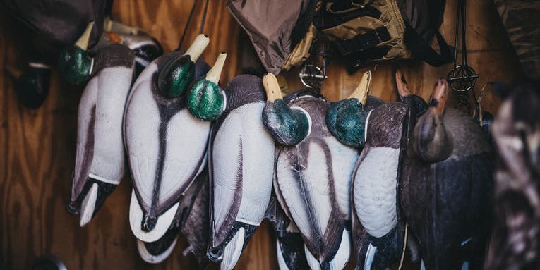 Best Duck Decoys of 2024, Tested and Reviewed