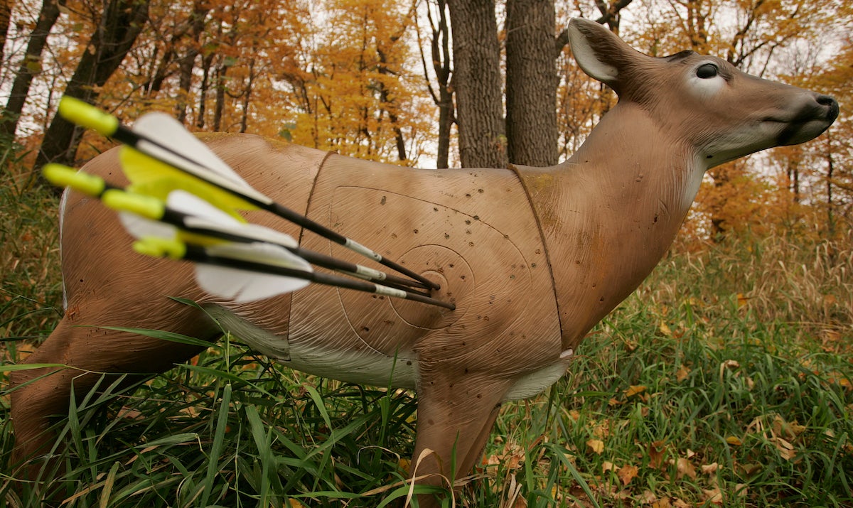 A deer target filled with arrows.