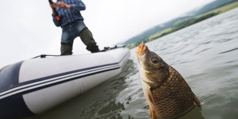 Why You Should Keep Carp, and How to Use Them