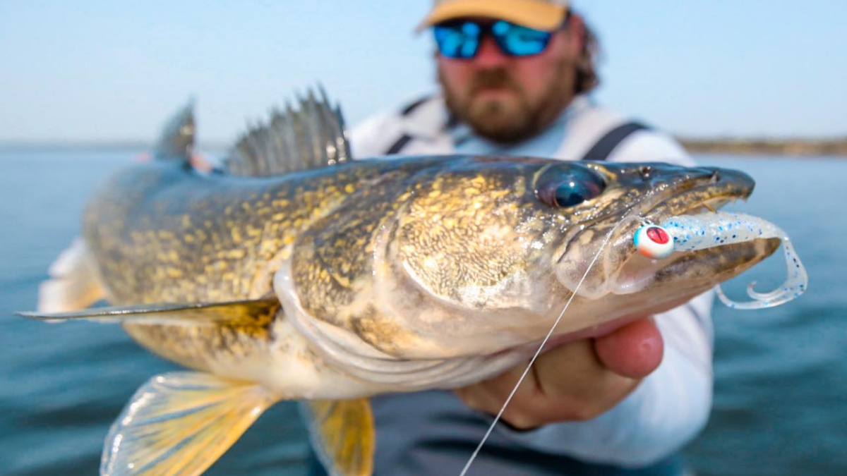 Walleye fishing Q&A: Live vs. preserved minnows, jigging depth and