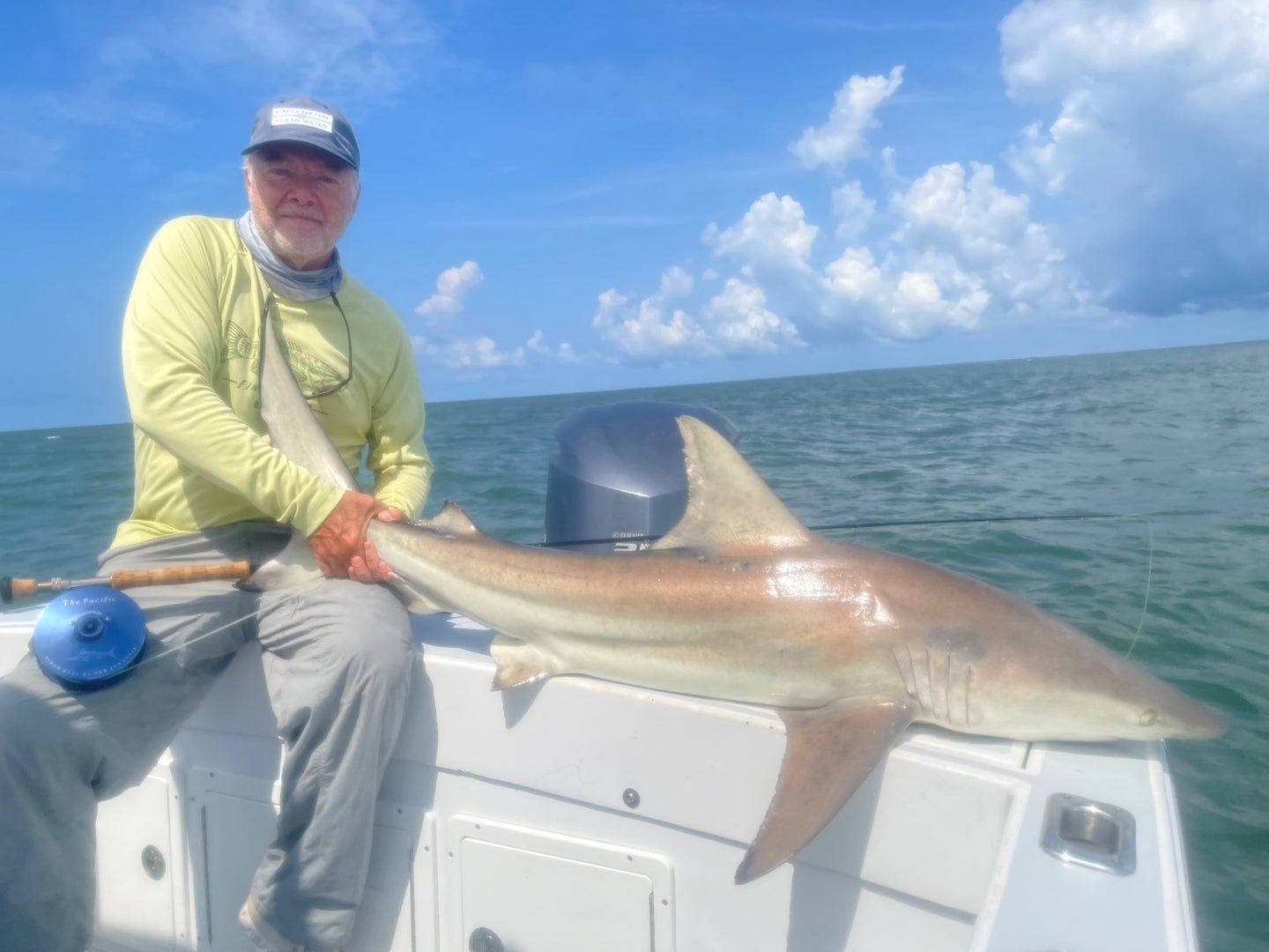 fly fisherman with a blacktip shark