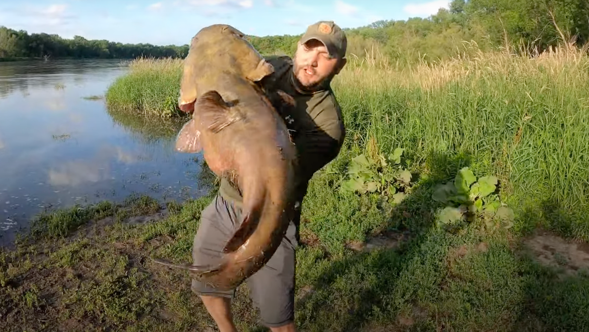 man holding large flathead catfish on the edge of a river.