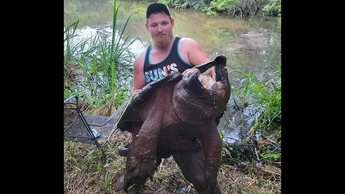 man holds large snapping turtle