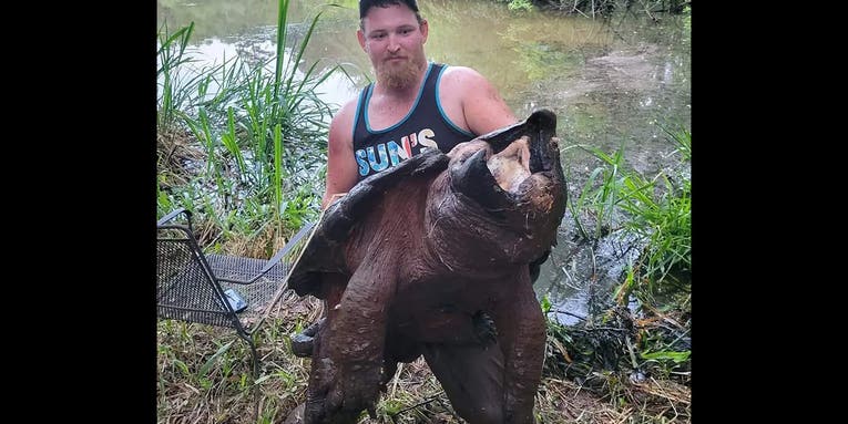 Texas Man Catches and Releases Monster Alligator Snapping Turtle