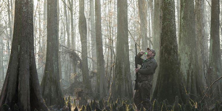 For Waterfowlers, Hunting Ducks In Flooded Arkansas Timber Is a Rite of Passage