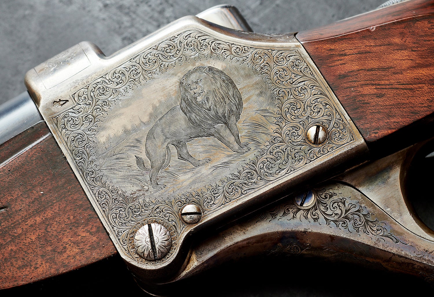 Engraving of lion on gun