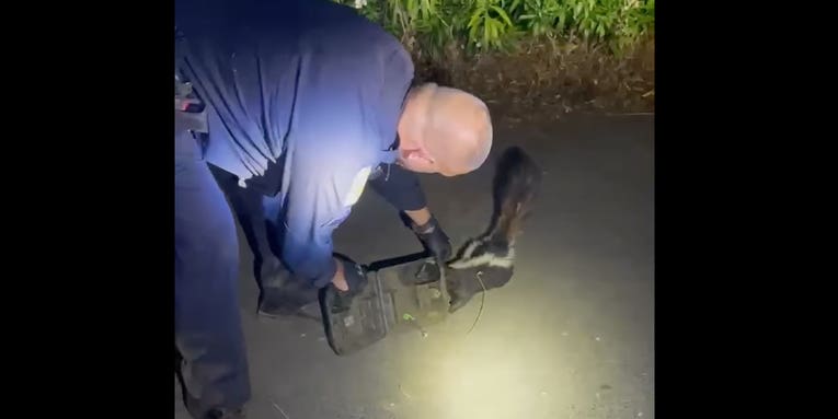 Watch: Police Officer Rescues Skunk With Head Stuck in a Tackle Box