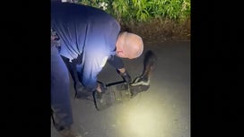 Watch: Police Officer Rescues Skunk With Head Stuck in a Tackle Box