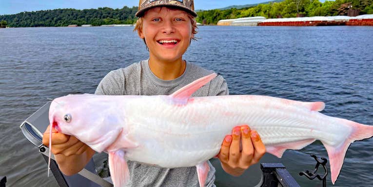 15-Year-Old Angler Catches Rare All-White Catfish in Chattanooga, Tennessee