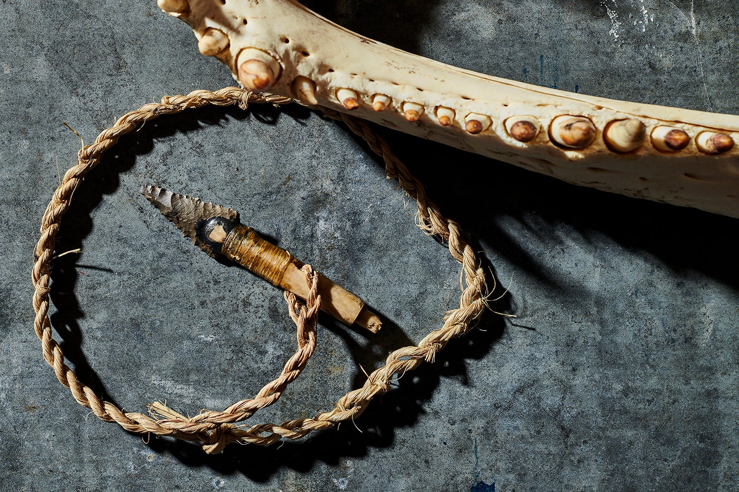 Alligator jaw with handmade spear point