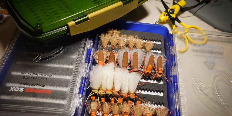 The Best Dry Fly Boxes of 2023
