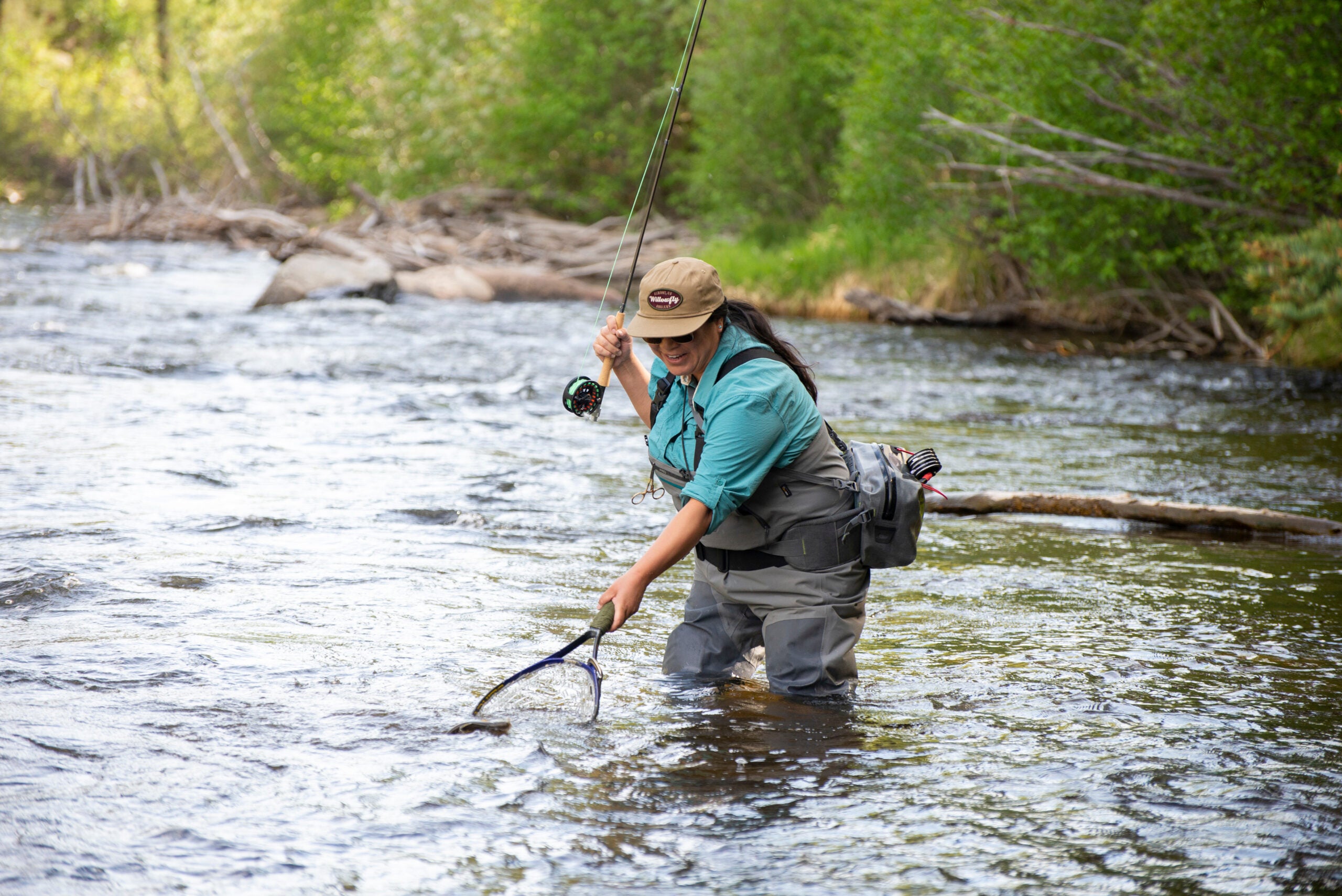 Woman fly fisherman catches fish in mountain river