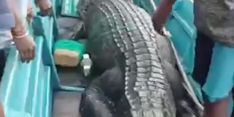Villagers Cut Man’s Corpse Out of 13-Foot Crocodile’s Stomach