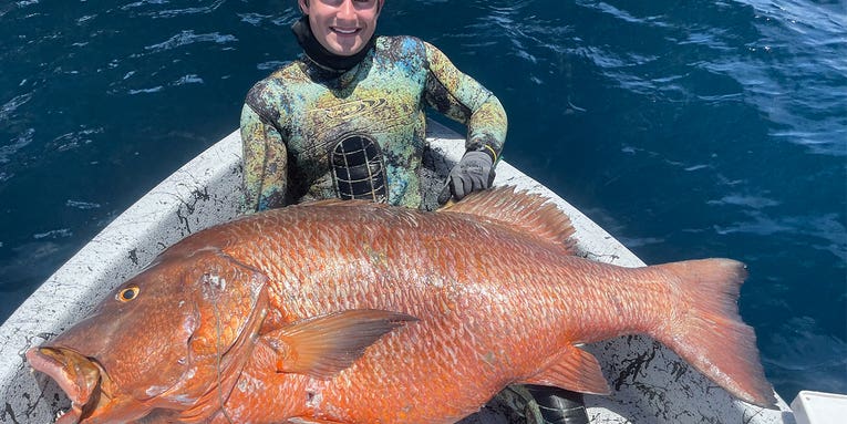 The Full Story of Spearfishing’s New Pending World Record Cubera Snapper