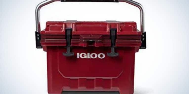 The Igloo IMX Lockable Cooler is on Sale During Prime Day 2022