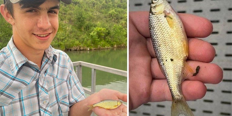 Montana Teen Lands State Record Golden Shiner—And It’s a Whopper (As Shiners Go)