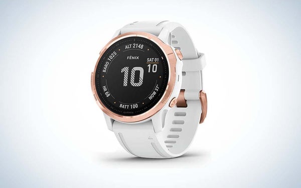 Garmin Fenix 6S smartwatch