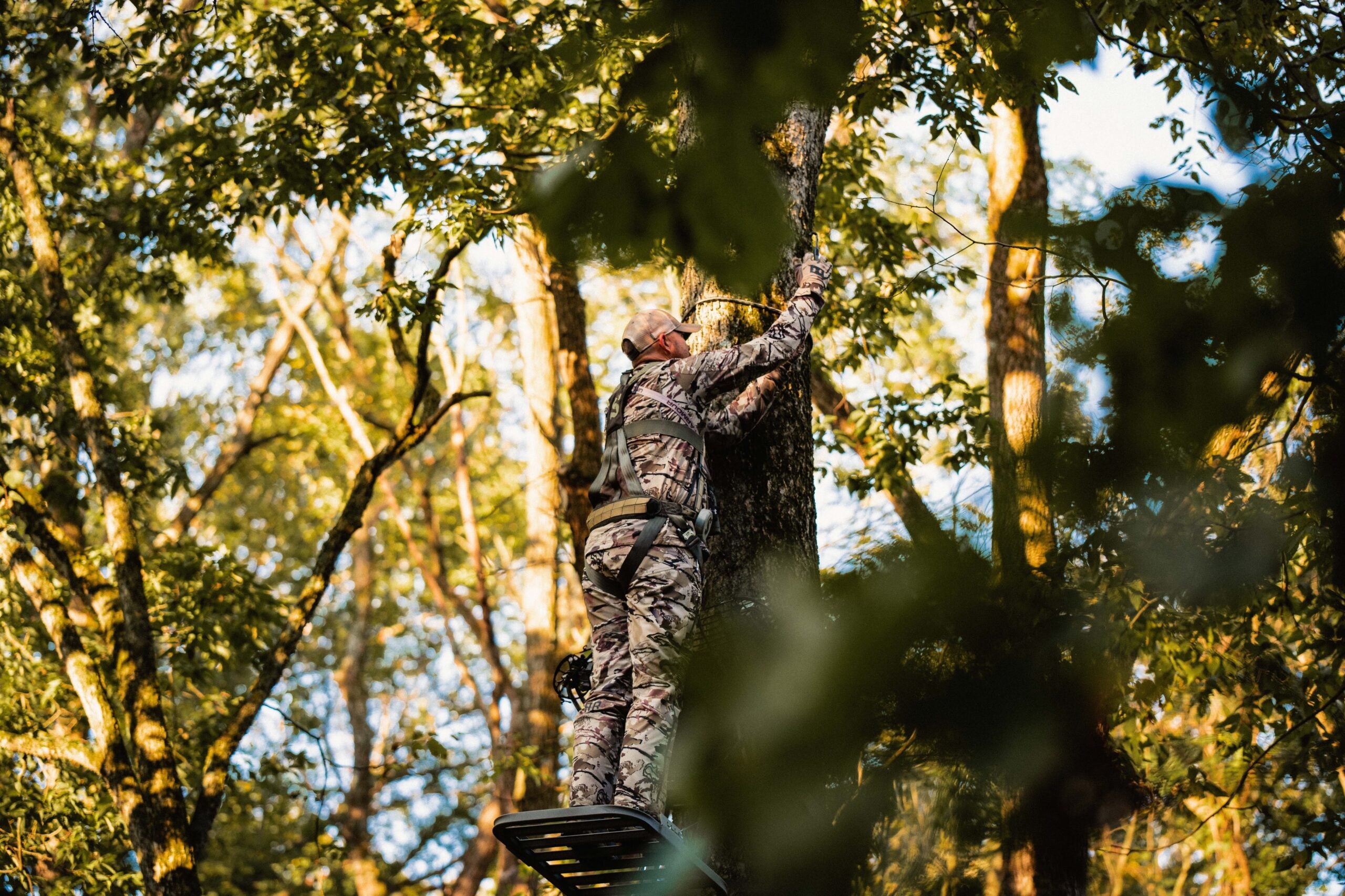 photo of hunter in tree stand